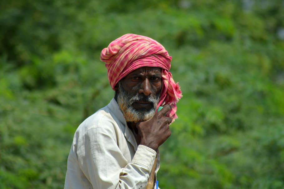 villager, old, village people, india, outdoors, one person, senior adult, beard, day, one animal