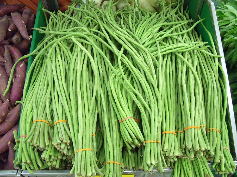 yardlong beans, string beans, long beans, snake bean, vegetable, legume, agriculture, cooking, bean, food and drink