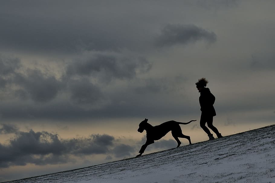 silhouette, man and dog, great dane, mammal, domestic animals, cloud - sky, domestic, sky, full length, one animal