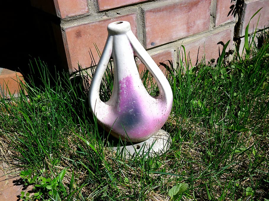 amphora, decanter, design, garden, purple, grass, decorative, plant, day, nature