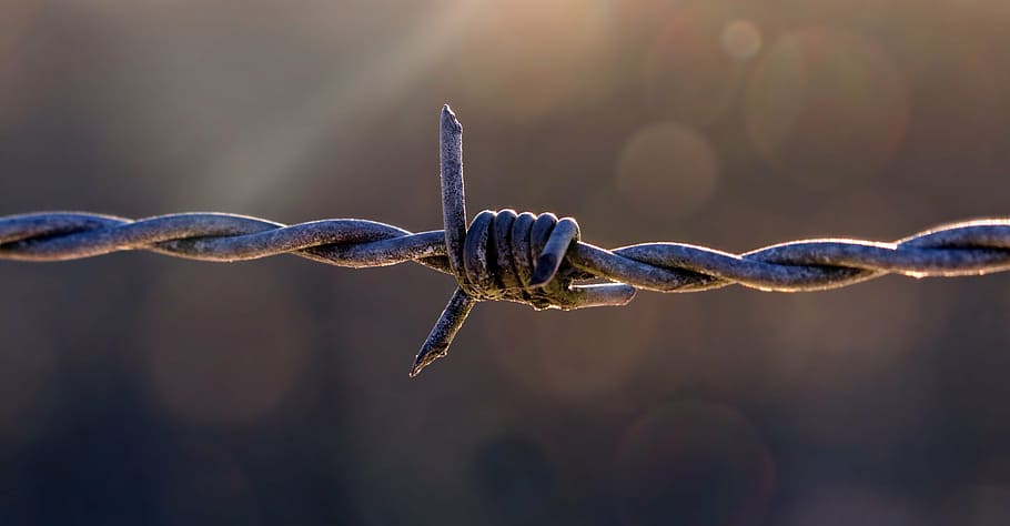 selective, focus photography, gray, link wire, pasture fence, barbed wire, fencing, caution, metal, wire