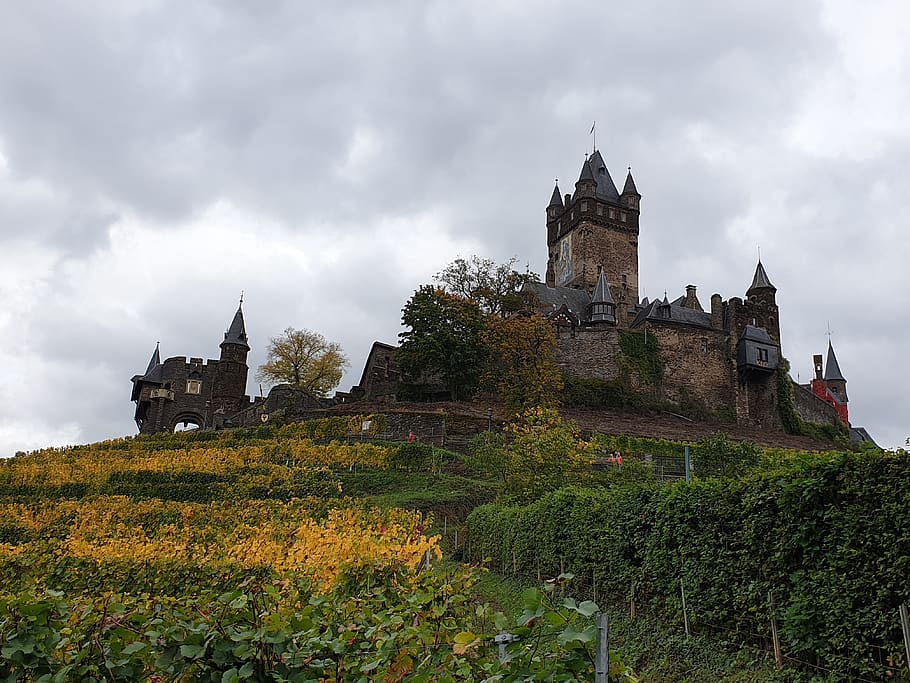 imperial castle, cochem, mosel, sachsen, castle, middle ages, architecture, imposing, germany, building