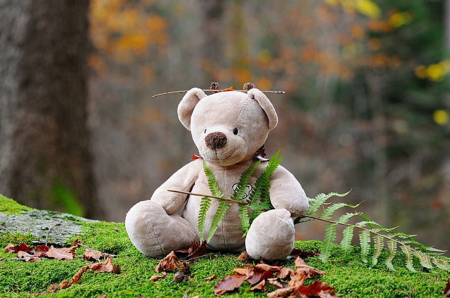 shallow, focus photography, brown, bear, plush, toy, holding, green, plant, daytime