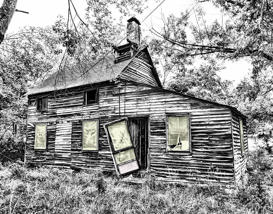 gray-scale, wooden, house illustration, house, illustration, shed, hut, barracks, cabin, hdr