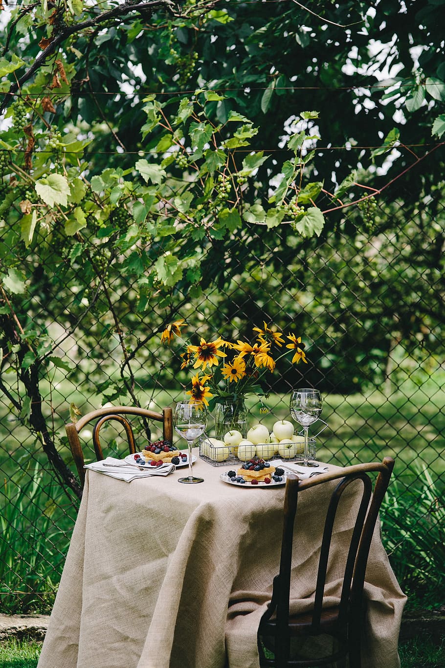 almoço, jardim, saudável, no jardim, verão, flor, flores, mesa, relaxar, frutas