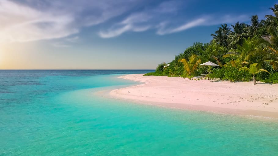 white, sand beach, ocean, pink beach, beach, paradise, paradise beach, an island, palma, palm trees