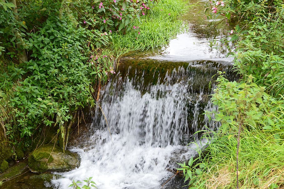 water, bach, waters, watercourse, waterfall, romantic, creek, murmur, plant, motion