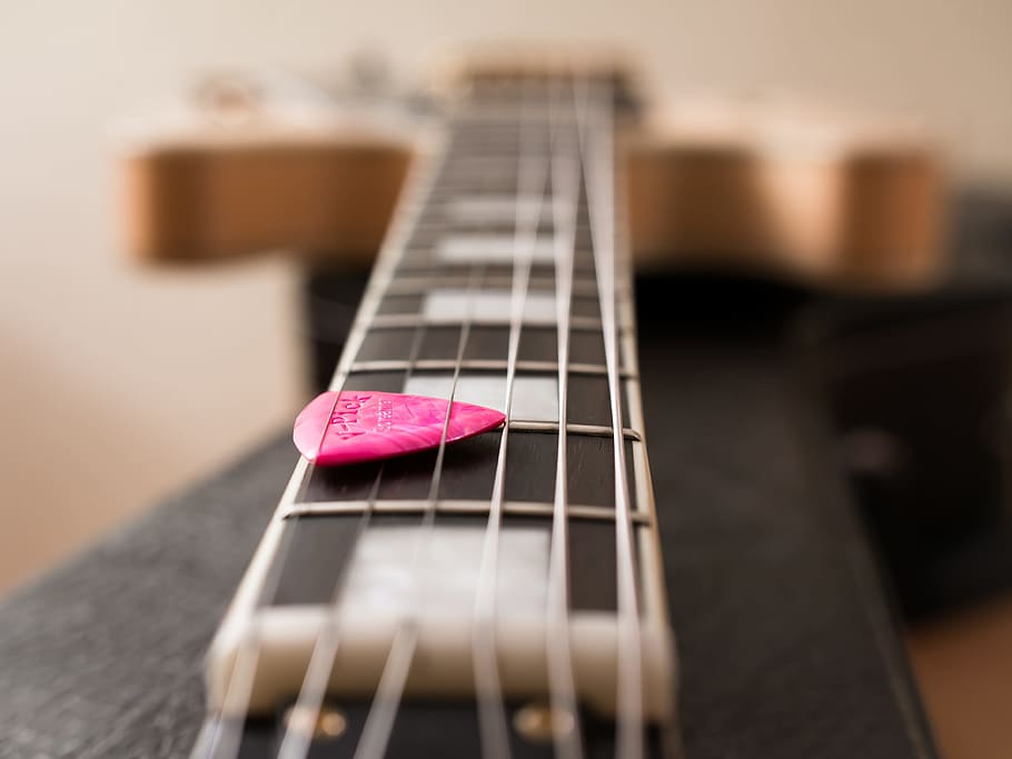 fotografia de mudança de inclinação, rosa, violão, palheta, preto, palheta de guitarra, guitarra elétrica, cordas, sela, instrumento