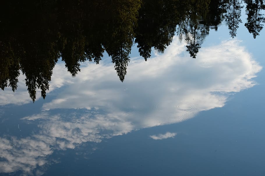 reflection, water, lake, nature, landscape, clouds, reflections, sky, trees, summer