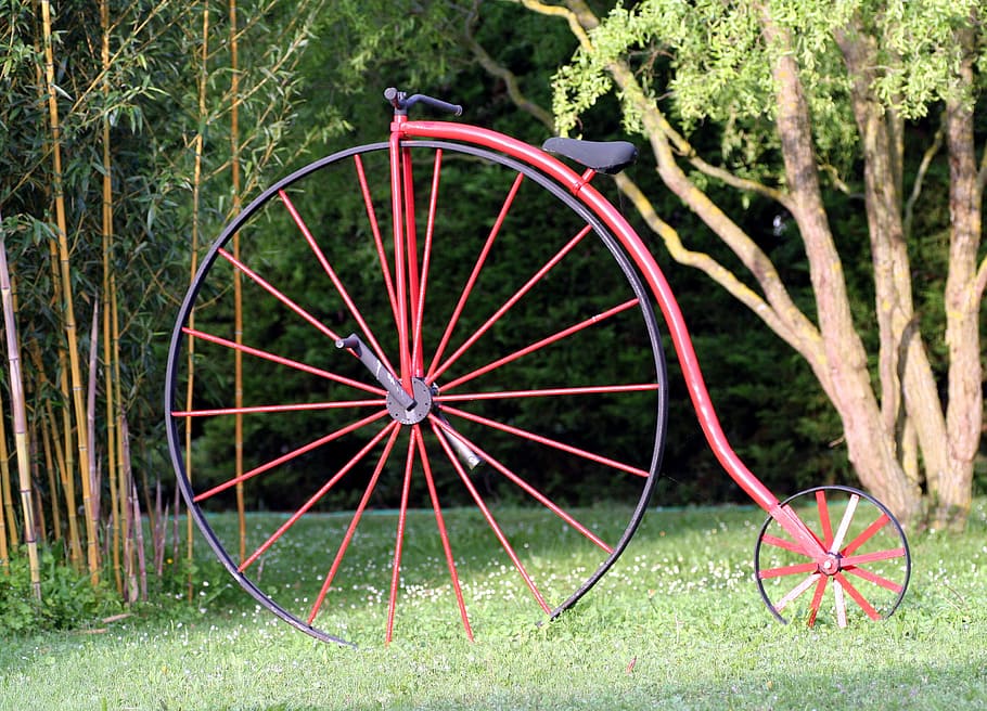 red, penny farthing, green, grasses, penny-farthing, bicycle, former, draisienne, wheels, saddle