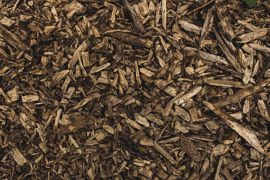 wood, firewood, outdoor, environment, full frame, backgrounds, abundance, large group of objects, close-up, brown