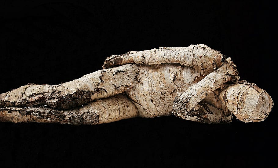mummy high-saturated photo, man, tree man, wood, bierke, artwork, art, concerns, reclining man, man from tree