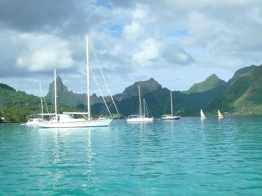 sailing boats, blue, sea, surrounded, mountains, moorea, tahiti, sailing, boat, water