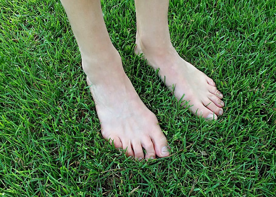descalço, ao ar livre, pés, grama, verão, parte do corpo humano, seção baixa, parte do corpo, perna humana, pé humano