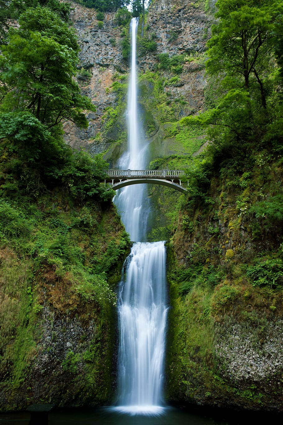 waterfall, oregon, nature, landscape, water, scenic, outdoors, forest, woods, trees