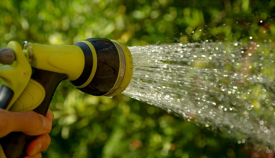 person, holds, yellow, black, nozzle spray, green, plant, watering, water jet, gardener