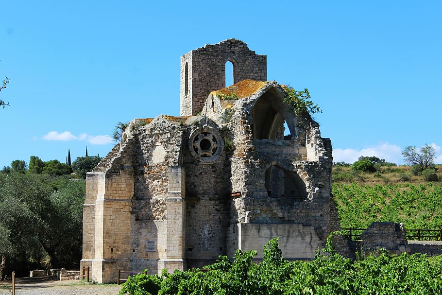 church, cathar church, ruin, pierre, remains, heritage, vine, built structure, architecture, history