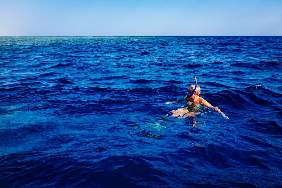 pessoa, natação, mar, foto, usando, snorkel, óculos de proteção, corpo, agua, oceano