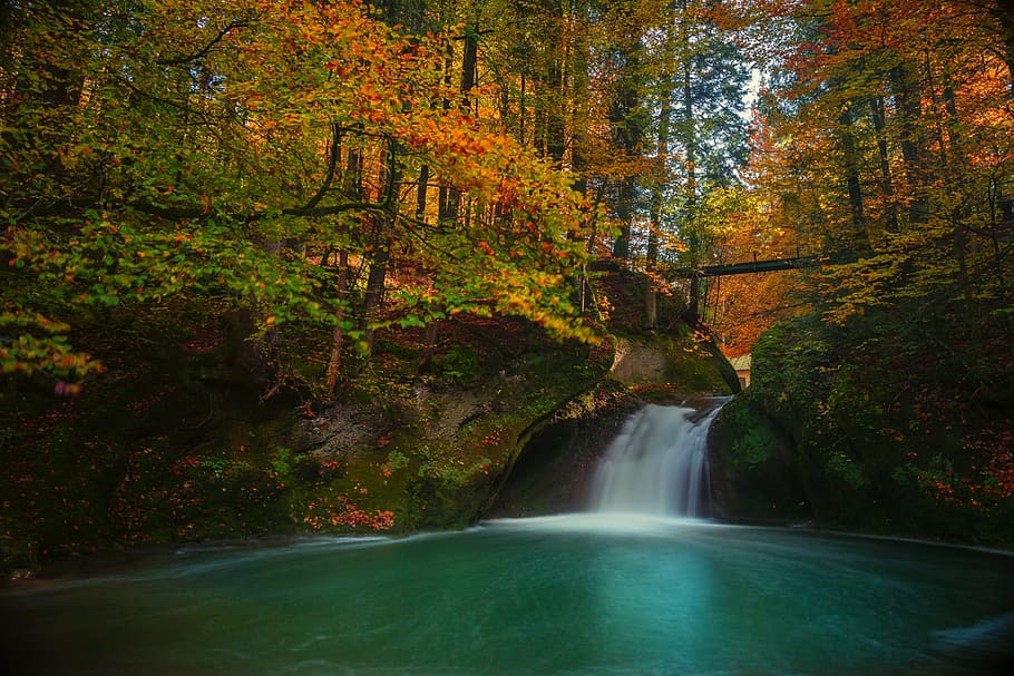 time lapse waterfall, middle, forest, autumn, long exposure, waterfall, bergsee, golden, nature, lake