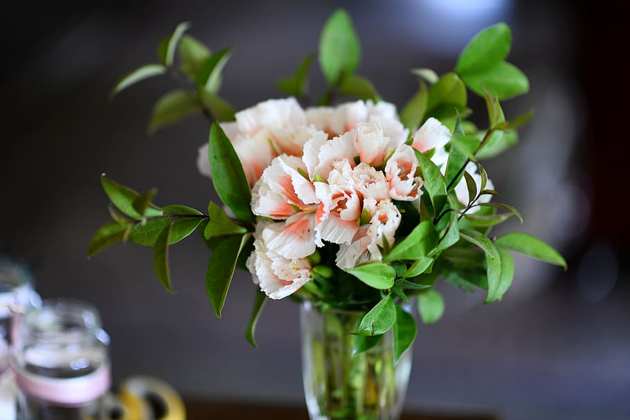 closeup, photography, white, petaled flowers, clear, glass vase, flowers, fleurs, green, plans