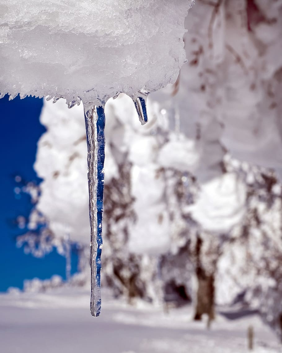 tilf shift photo, ice icicle, icicle, ice, drip, frozen, icy, cold, winter, snow
