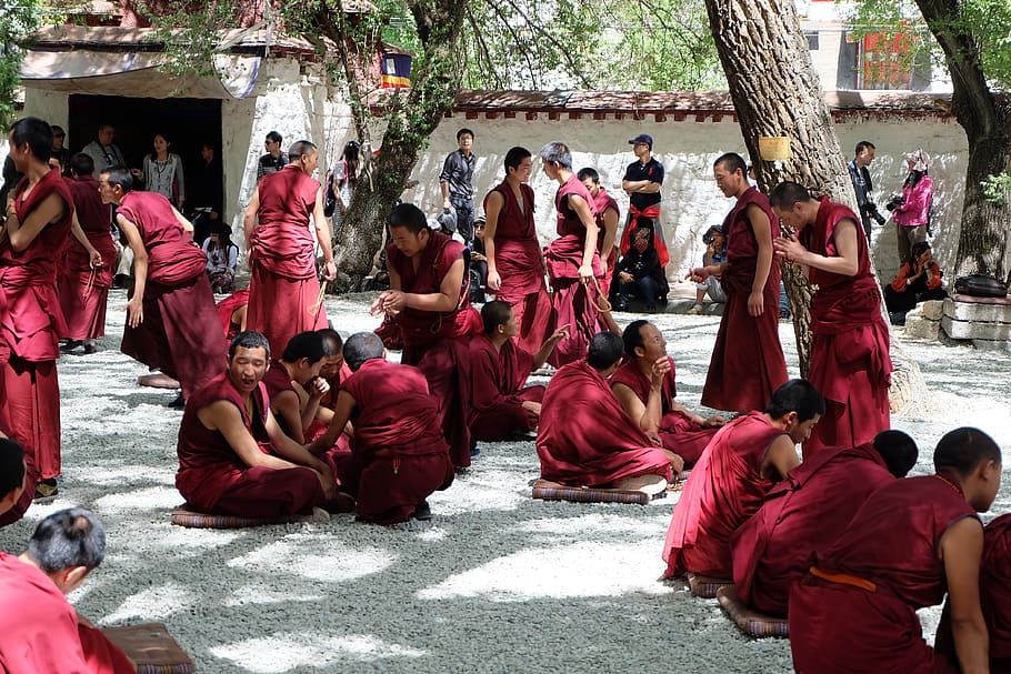 チベット, 僧侶, トーク, 学生, 若者, 大人数, 赤, 人, 全身, 宗教