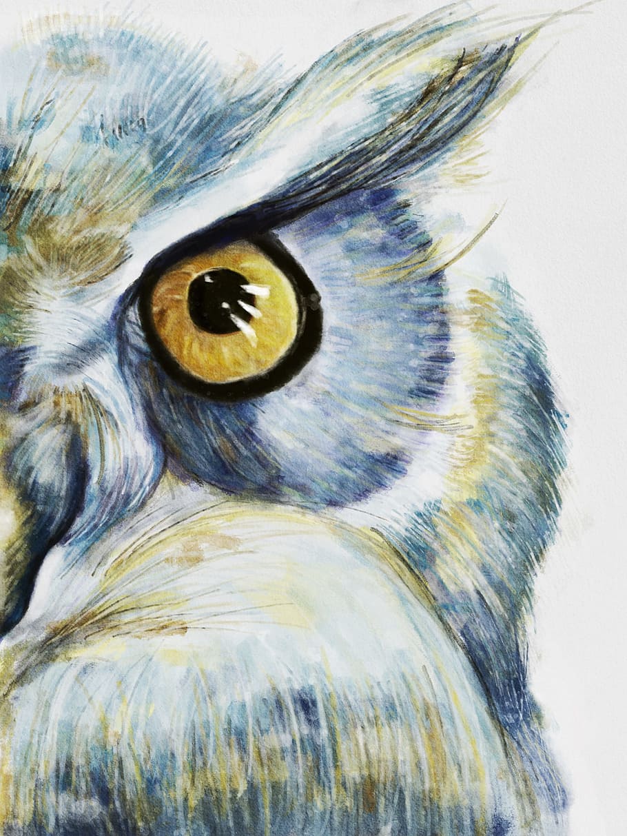 owl artwork, owl, the snow owl, bird, nature, blue, yellow, white, winter, animal portrait