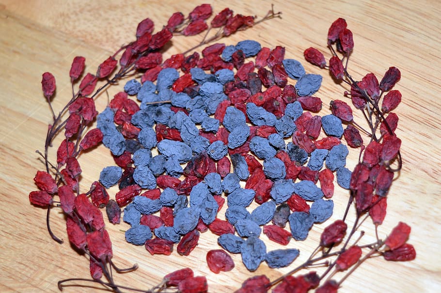 Barberry, Mahonia, Berry, natural medicine, organic, vitamins, dried berries, nutrition, red, bright