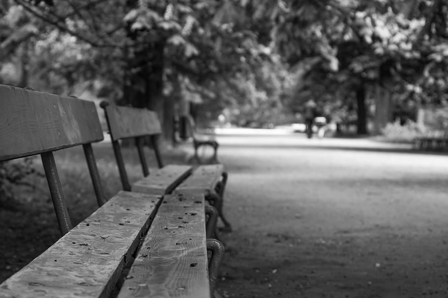 banco, parque, bokeh, vacío, otoño, blanco, negro, abandonado, asiento, solitario
