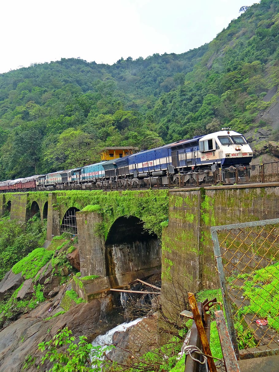 multicolored, train, mountain, trees, locomotive, indian railway, rail bridge, railway bridge, mountains, dudh sagar