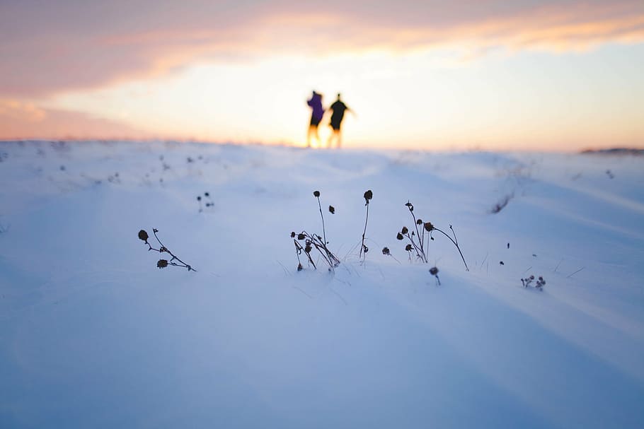dos, personas, en pie, tierra, cubierto, nieve, silueta, persona, blanco, campo de nieve