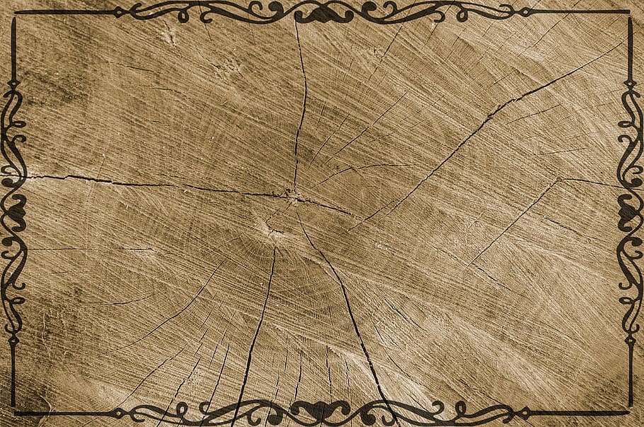 rectangular, brown, wooden, photo frame, tree, texture, grain, log, background, structure
