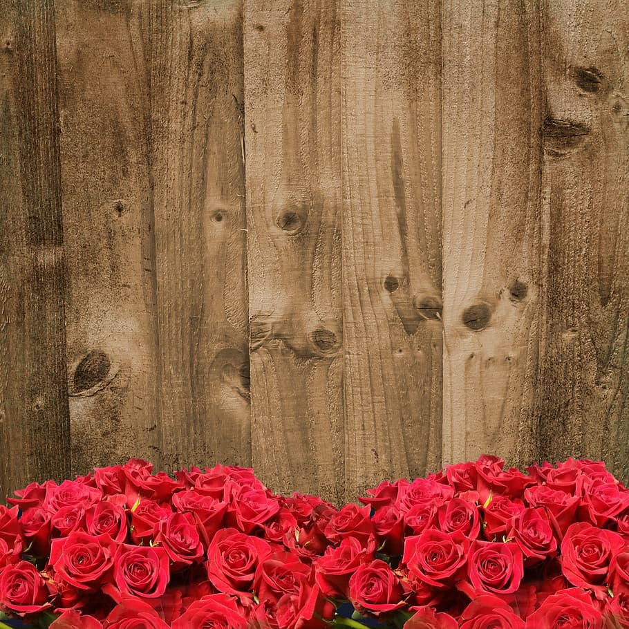 vista, rojo, rosas, detrás, marrón, tablón, fondo, vendimia, ramo, floral