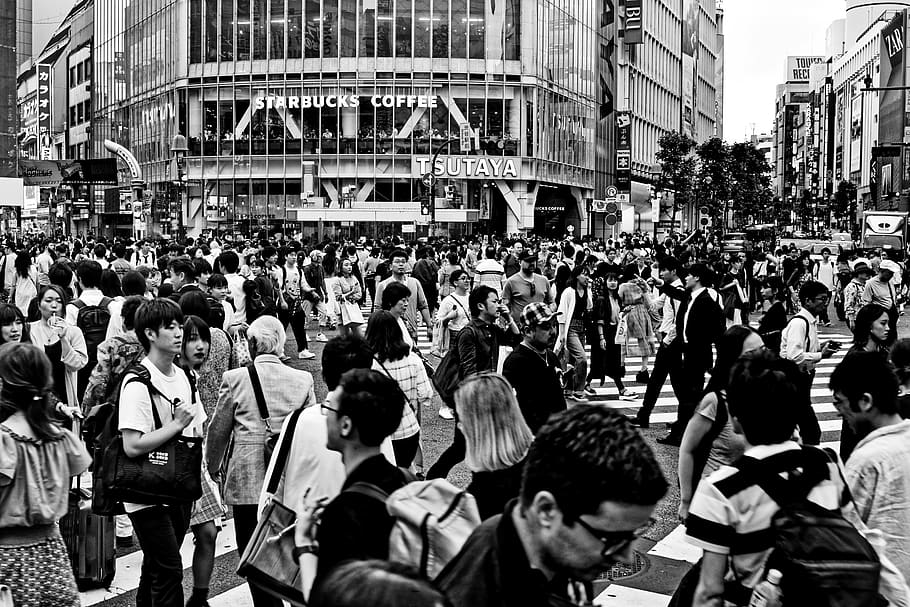 japan, tokyo, shibuya, city, travel, human, quantitative, junction, crowd, shopping