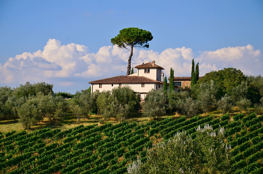 fotografía de paisaje, casa, verde, campo, durante el día, Toscana, villa, italiano, naturaleza, escénico