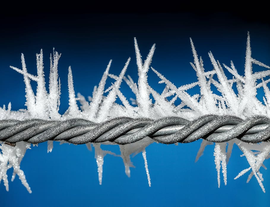 Gris, alambre de púas de acero, cubierto, hielo, alambre, invierno, azul, frío, metal, cerca