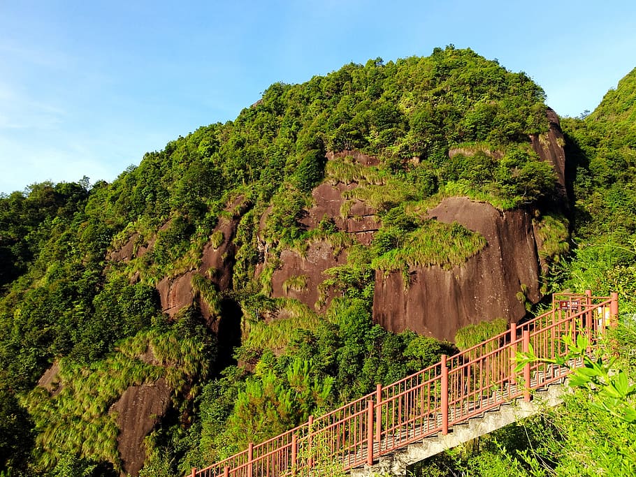 stairs, rock, kowloon hole, the world geological park, plant, tree, growth, sky, beauty in nature, mountain