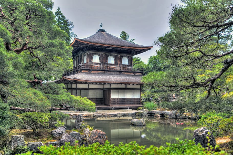 white, black, dojo, green, leafed, trees, ginkaku-ji temple, gardens, kyoto, japan
