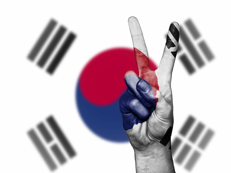sinal de mão da paz, atrás, papel de parede bandeira coreana, coréia do sul, sul, coréia, paz, mão, nação, plano de fundo