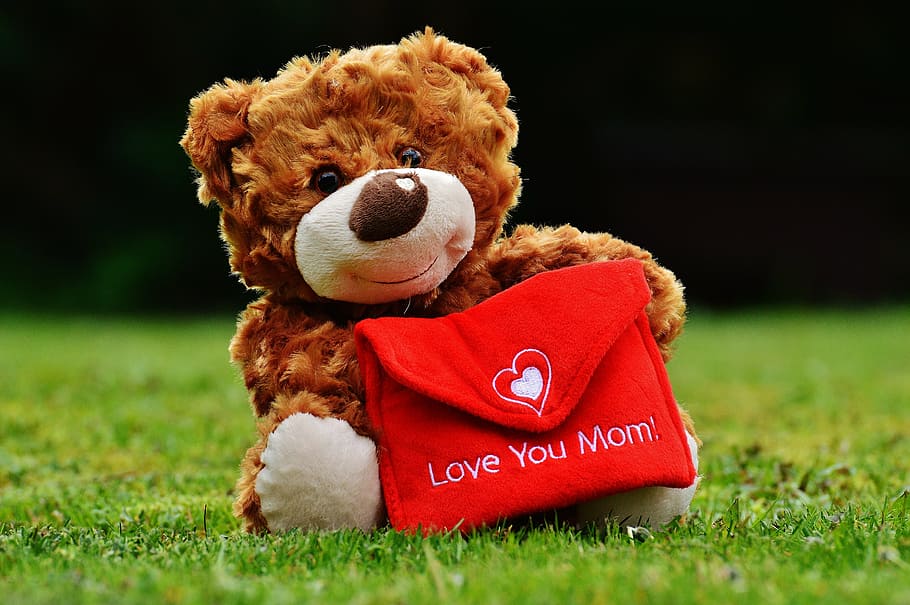 brown, bear, holding, red, envelope bag, plush, toy, teddy, mother's day, love