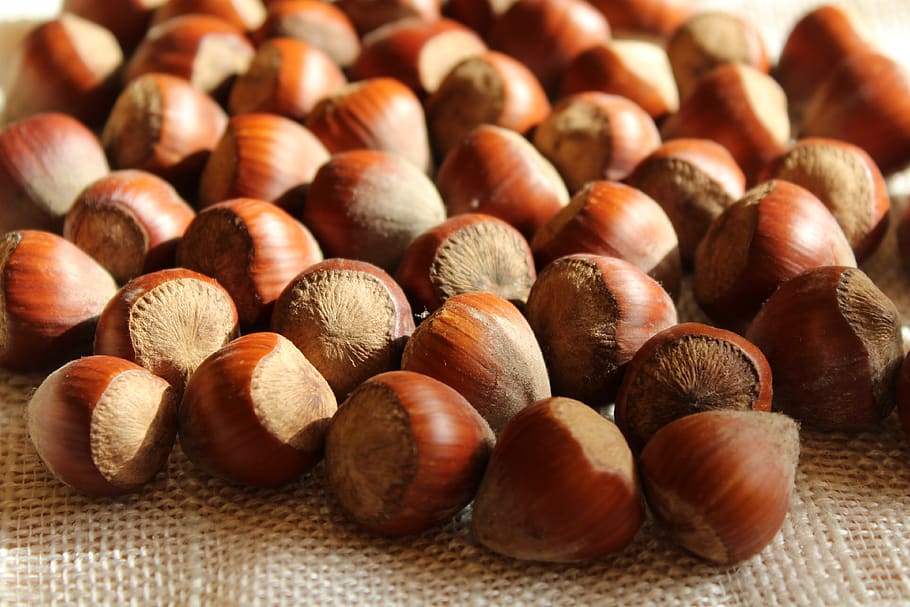 nuts, hazelnuts, brown, eat, food, snacks, eating, walnut, fruit, hazel