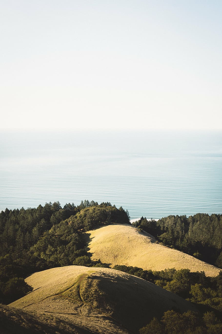 aerial, photography, hill, trees, calm, body, sea, daytime, nature, green