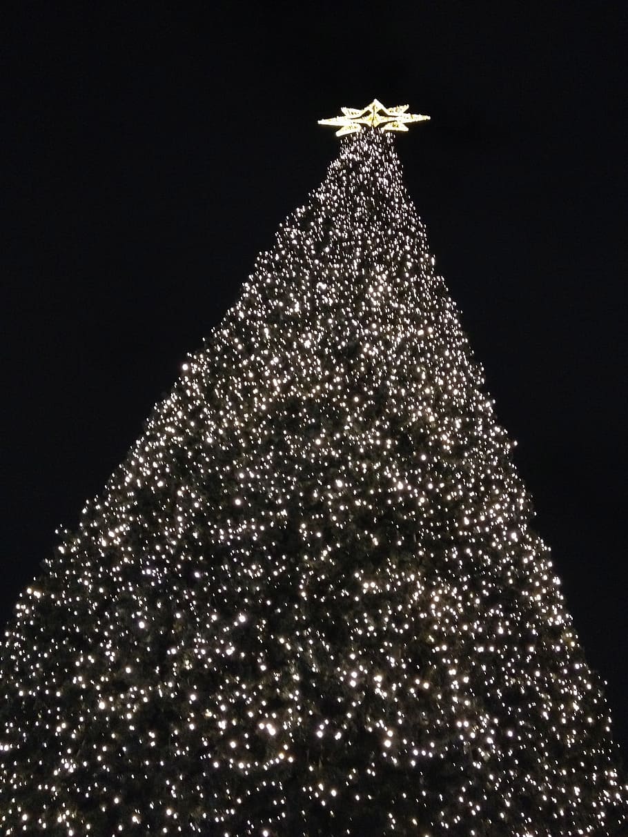 christmas tree, berlin, decorative, ku'damm, kurfürstendamm, night, christmas, celebration, christmas decoration, decoration