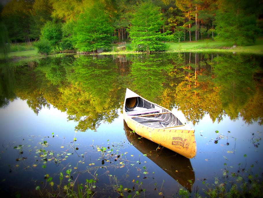 黄色, カヌーボート, 湖, カヌー, 水, 自然, アウトドア, 環境, 楽しい, レクリエーション