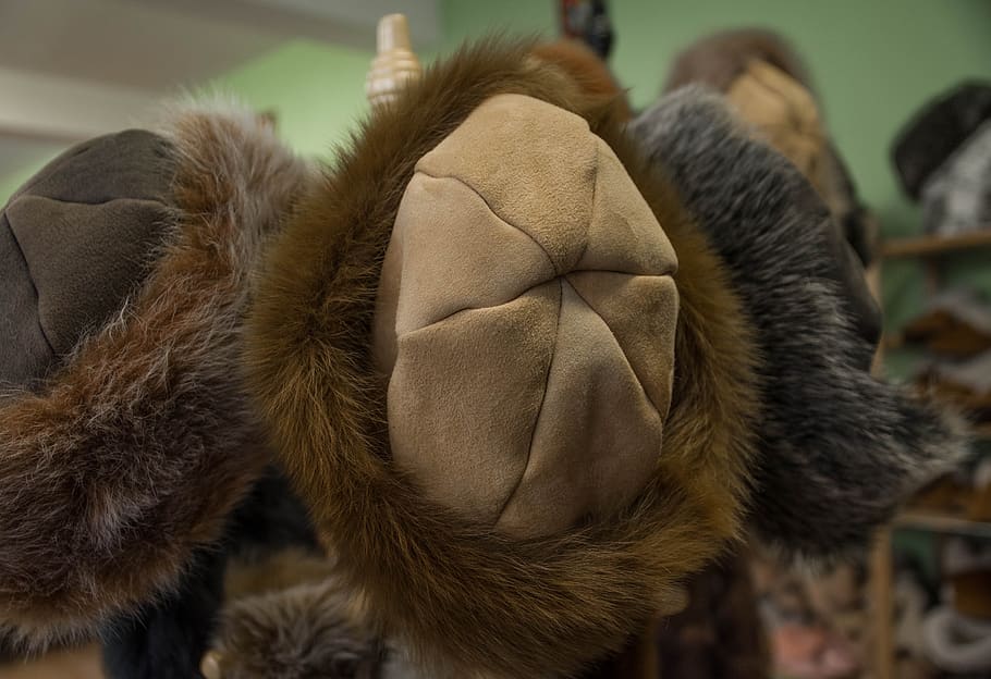 hats, fur hat, toque, fur, lamb, winter, focus on foreground, close-up, animal themes, animal