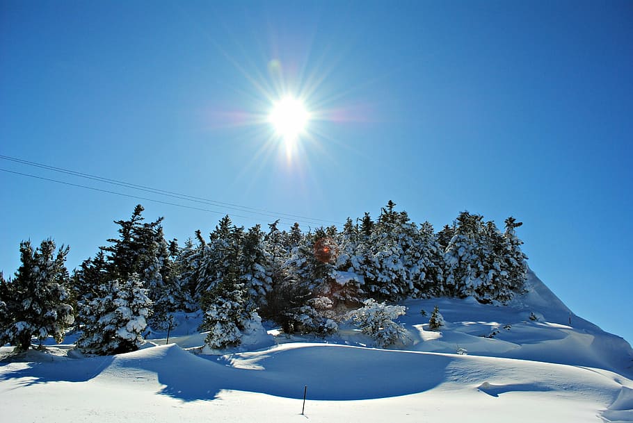 雪に覆われた風景, 雪, 冬, 風景, 寒さ, 白, 自然, 天気, 森, 霜