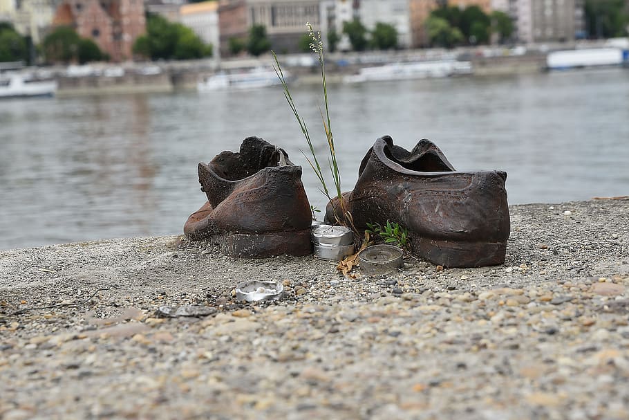 brown, leather shoes, curb, wet, road, daytime, danube, jew, shoe, world war