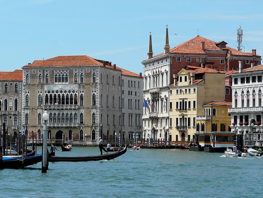 ca, ', universitas foscari, Ca' Foscari University, Grand-Canal, istana gothic, Juni, musim panas, Italia, Venesia