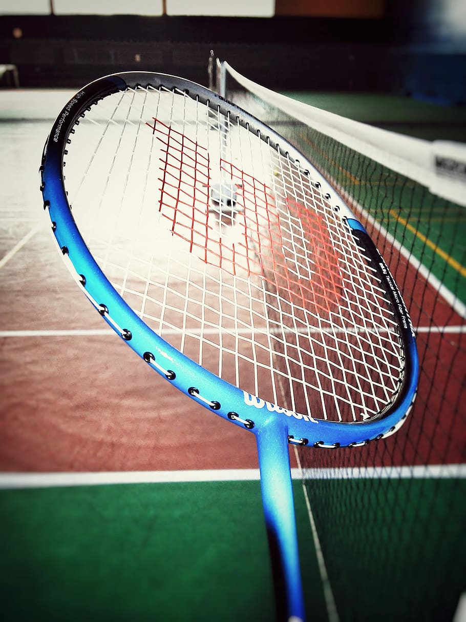 fotografia, azul, raquete de badminton wilson, badminton, esporte, foguete, entretenimento, tênis, quadra, rede - equipamentos esportivos