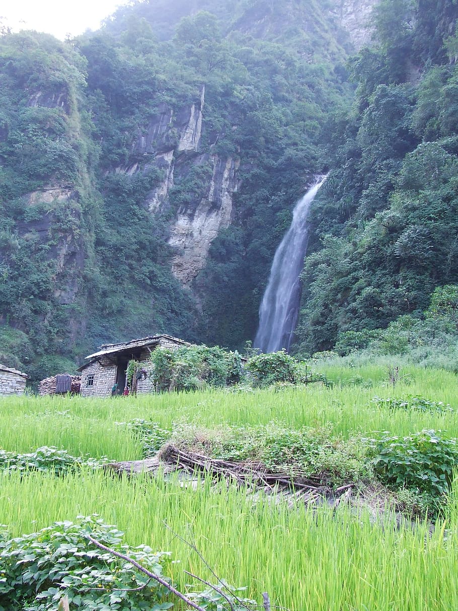 nepal, annapurna, trekking, cachoeira, chalé, grama, verde, floresta, árvores, montanhas